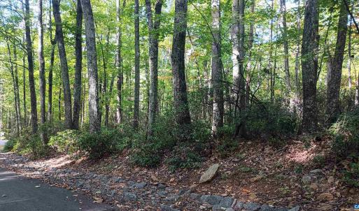 Photo #20 of OAKCREST LN, NELLYSFORD, VA 7.9 acres