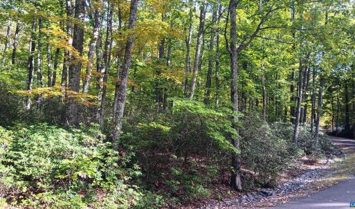 Photo #26 of OAKCREST LN, NELLYSFORD, VA 7.9 acres