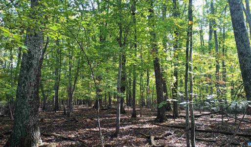 Photo #8 of OAKCREST LN, NELLYSFORD, VA 7.9 acres