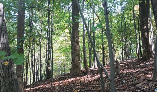 Photo #18 of OAKCREST LN, NELLYSFORD, VA 7.9 acres