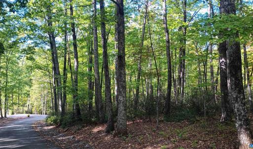 Photo #3 of OAKCREST LN, NELLYSFORD, VA 7.9 acres