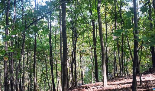 Photo #11 of OAKCREST LN, NELLYSFORD, VA 7.9 acres