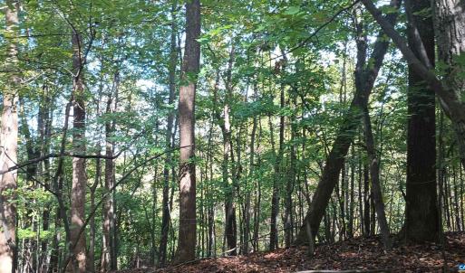 Photo #10 of OAKCREST LN, NELLYSFORD, VA 7.9 acres