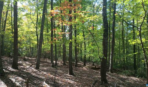 Photo #14 of OAKCREST LN, NELLYSFORD, VA 7.9 acres