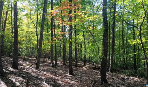 Photo #7 of OAKCREST LN, NELLYSFORD, VA 7.9 acres
