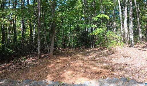 Photo #5 of OAKCREST LN, NELLYSFORD, VA 7.9 acres