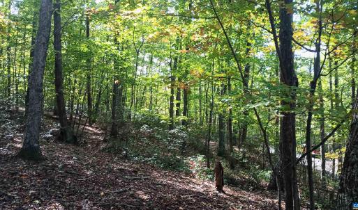 Photo #16 of OAKCREST LN, NELLYSFORD, VA 7.9 acres
