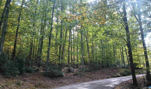 Photo #2 of OAKCREST LN, NELLYSFORD, VA 7.9 acres