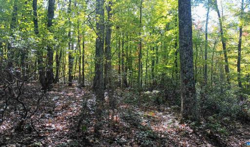 Photo #17 of OAKCREST LN, NELLYSFORD, VA 7.9 acres