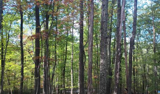 Photo #15 of OAKCREST LN, NELLYSFORD, VA 7.9 acres