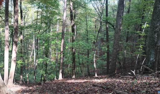 Photo #9 of OAKCREST LN, NELLYSFORD, VA 7.9 acres