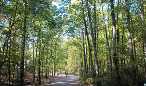 Photo #6 of OAKCREST LN, NELLYSFORD, VA 7.9 acres