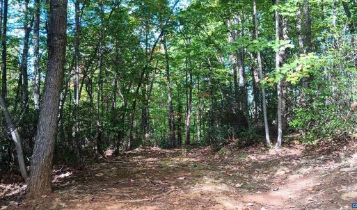 Photo #4 of OAKCREST LN, NELLYSFORD, VA 7.9 acres