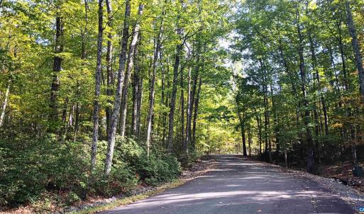 Photo #1 of OAKCREST LN, NELLYSFORD, VA 7.9 acres