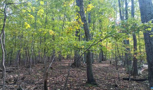 Photo #12 of OAKCREST LN, NELLYSFORD, VA 7.9 acres