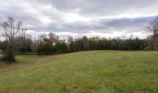 Photo #4 of Lot 1 B JIM LANE RD, SCOTTSVILLE, VA 21.4 acres