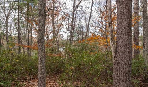 Photo #6 of Lot 1 B JIM LANE RD, SCOTTSVILLE, VA 21.4 acres