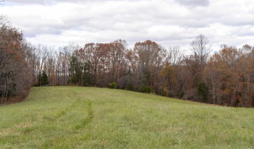 Photo #1 of Lot 1 B JIM LANE RD, SCOTTSVILLE, VA 21.4 acres