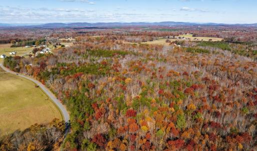 Photo #14 of HOLLANDS RD, BYBEE, VA 70.2 acres