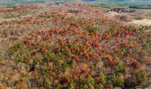 Photo #12 of HOLLANDS RD, BYBEE, VA 70.2 acres