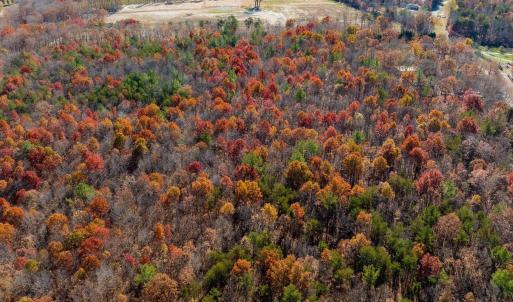 Photo #11 of HOLLANDS RD, BYBEE, VA 70.2 acres