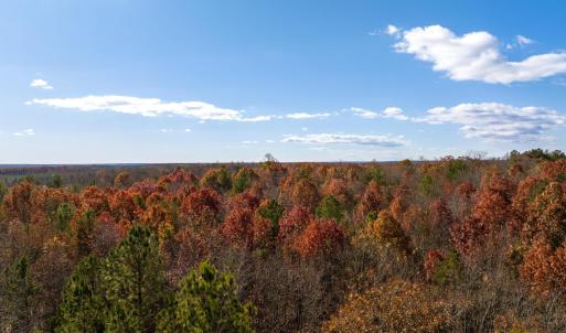 Photo #10 of HOLLANDS RD, BYBEE, VA 70.2 acres