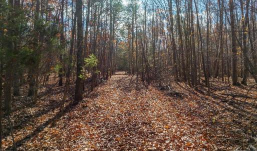 Photo #19 of HOLLANDS RD, BYBEE, VA 70.2 acres