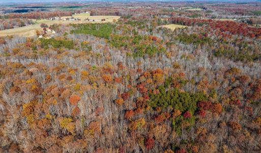 Photo #15 of HOLLANDS RD, BYBEE, VA 70.2 acres