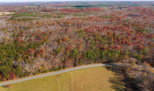 Photo #8 of HOLLANDS RD, BYBEE, VA 70.2 acres