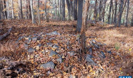 Photo #33 of TBD RED HILL RD, CHARLOTTESVILLE, VA 21.0 acres