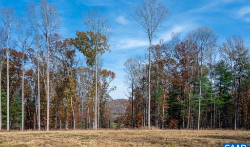 Photo #3 of TBD RED HILL RD, CHARLOTTESVILLE, VA 21.0 acres