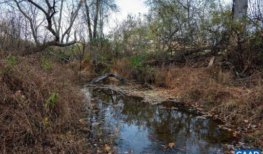 Photo #27 of TBD RED HILL RD, CHARLOTTESVILLE, VA 21.0 acres
