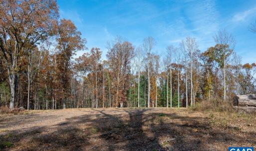 Photo #16 of TBD RED HILL RD, CHARLOTTESVILLE, VA 21.0 acres