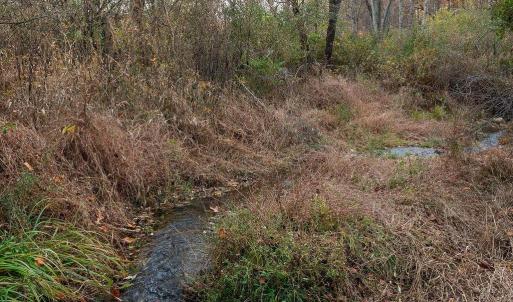 Photo #5 of TBD RED HILL RD, CHARLOTTESVILLE, VA 21.0 acres