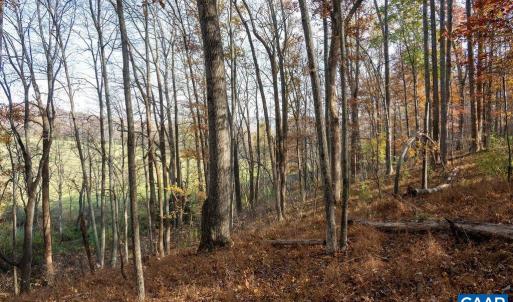 Photo #34 of TBD RED HILL RD, CHARLOTTESVILLE, VA 21.0 acres