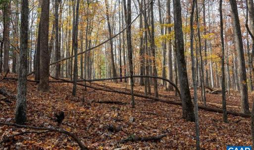 Photo #47 of TBD RED HILL RD, CHARLOTTESVILLE, VA 21.0 acres