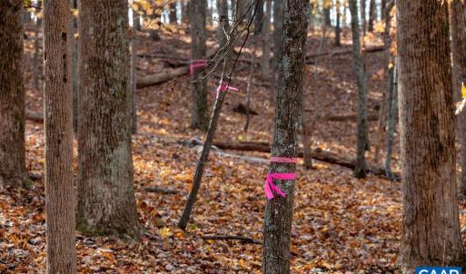 Photo #8 of TBD RED HILL RD, CHARLOTTESVILLE, VA 21.0 acres