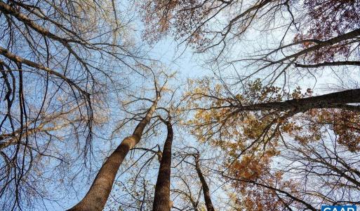 Photo #38 of TBD RED HILL RD, CHARLOTTESVILLE, VA 21.0 acres
