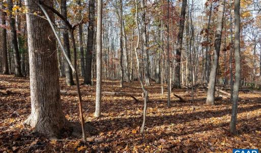 Photo #30 of TBD RED HILL RD, CHARLOTTESVILLE, VA 21.0 acres