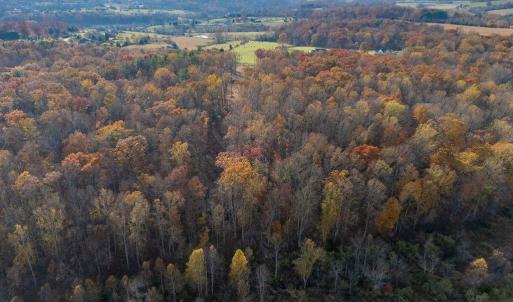 Photo #24 of TBD RED HILL RD, CHARLOTTESVILLE, VA 21.0 acres