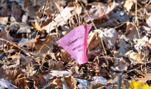 Photo #42 of TBD RED HILL RD, CHARLOTTESVILLE, VA 21.0 acres