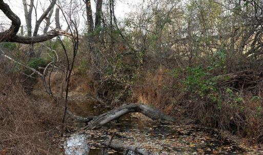 Photo #35 of TBD RED HILL RD, CHARLOTTESVILLE, VA 21.0 acres