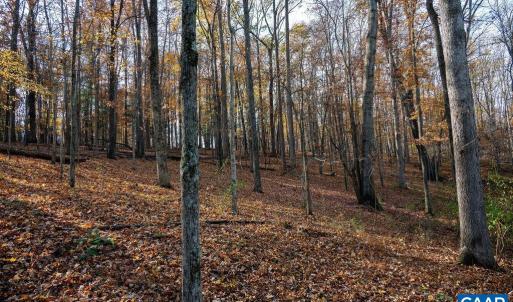 Photo #45 of TBD RED HILL RD, CHARLOTTESVILLE, VA 21.0 acres