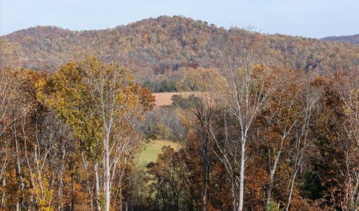 Photo #18 of TBD RED HILL RD, CHARLOTTESVILLE, VA 21.0 acres