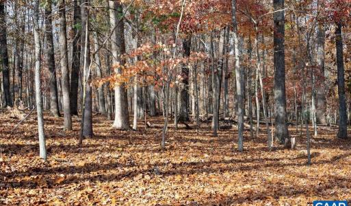 Photo #29 of TBD RED HILL RD, CHARLOTTESVILLE, VA 21.0 acres