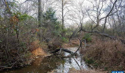 Photo #36 of TBD RED HILL RD, CHARLOTTESVILLE, VA 21.0 acres