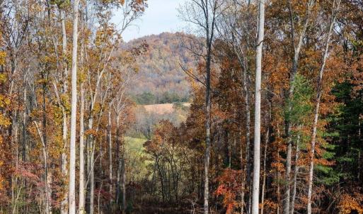 Photo #19 of TBD RED HILL RD, CHARLOTTESVILLE, VA 21.0 acres