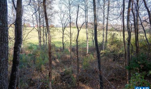 Photo #39 of TBD RED HILL RD, CHARLOTTESVILLE, VA 21.0 acres