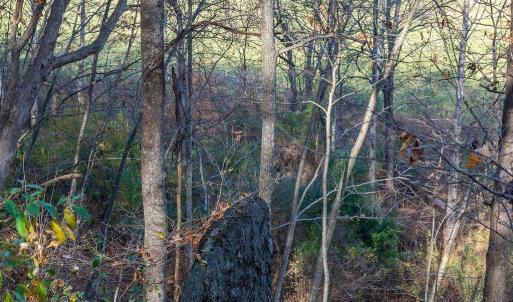Photo #44 of TBD RED HILL RD, CHARLOTTESVILLE, VA 21.0 acres