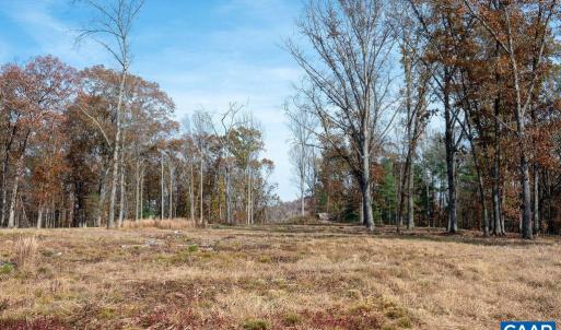 Photo #14 of TBD RED HILL RD, CHARLOTTESVILLE, VA 21.0 acres